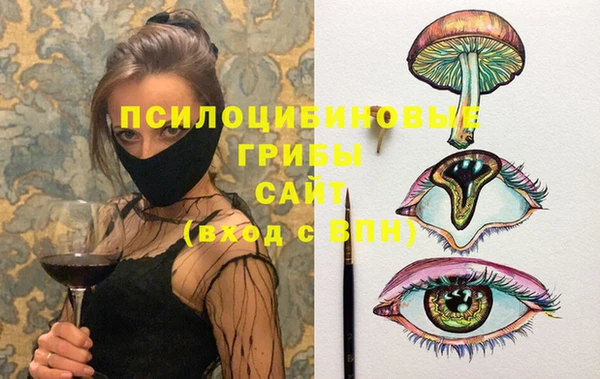 тгк Бронницы