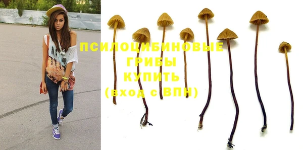 прущий лед Бугульма