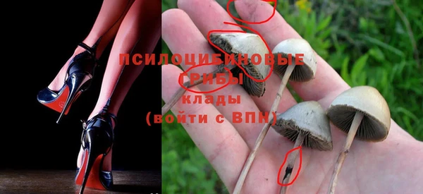 прущий лед Бугульма