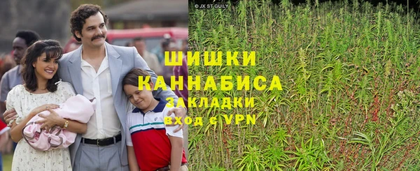 тгк Бронницы