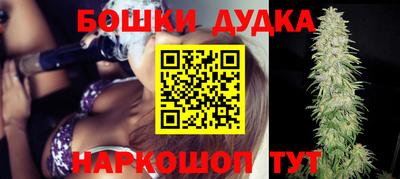 индика Пугачёв