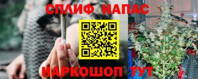 индика Пугачёв