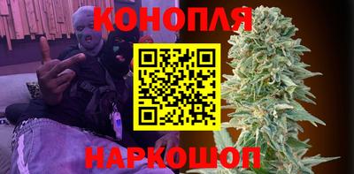 индика Пугачёв