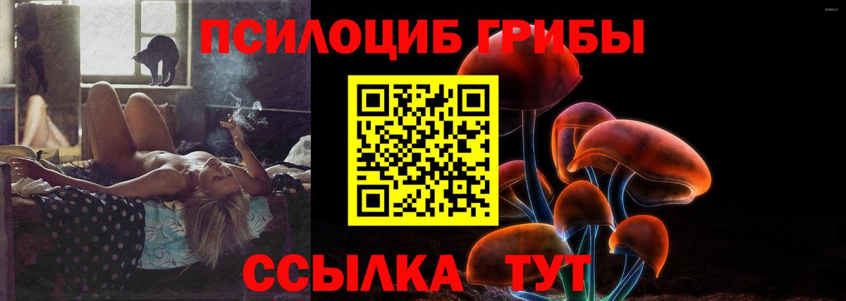 Мончегорск  Псилоцибиновые грибы GOLDEN TEACHER  Галлюциногенные грибы GOLDEN TEACHER  Вход с VPN 